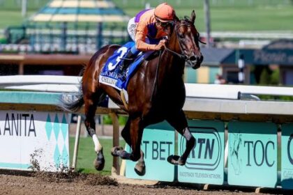 Equibase Revenue Leader: Active Fall Star Weekend Makes Big Impact