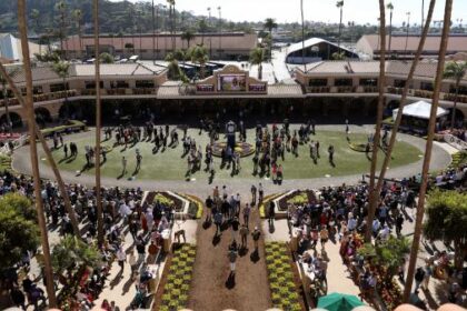 Everything you need to know about the Breeders' Cup "Future Stars Friday" race