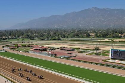 Expert Strategies for Betting on Sunset Picks October 6th at Gulfstream and Santa Anita