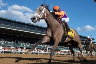 Five important takeouts you need to know from a star-studded weekend