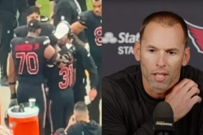 Gannon Cardinals pic