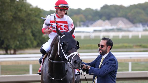 'Great journey' D'Angelo sprints towards Breeders' Cup win with Ventornato