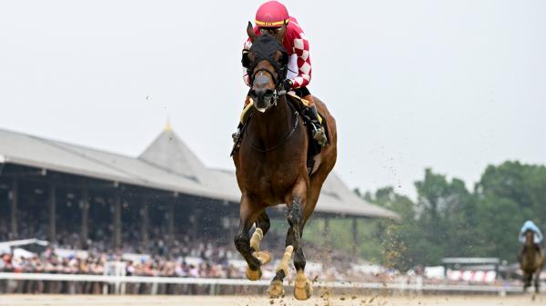 Hall of Fame trainer Casse is quietly confident in multi-surface Marvel Nitrogen ahead of Distaff