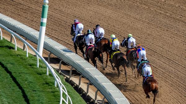 Historical tips and trends to help you bet on the 2025 Breeders' Cup Distaff