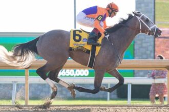 How to make money betting on Ted Nophy in the 2025 Breeders' Cup Juvenile