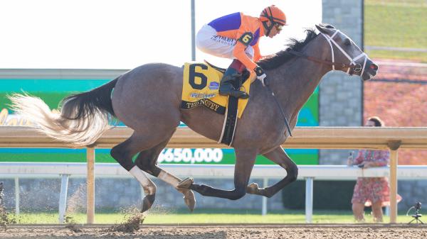 How to make money betting on Ted Nophy in the 2025 Breeders' Cup Juvenile