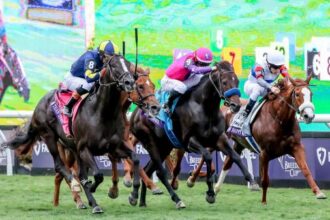 Important terms and phrases to know for the 2024 Breeders' Cup