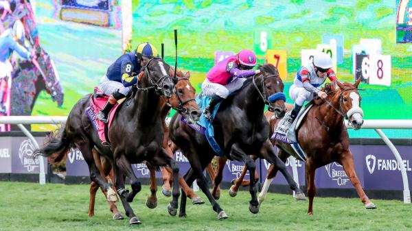 Important terms and phrases to know for the 2024 Breeders' Cup