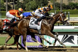 Intrepido, Explora, Tamara, Mission of Joy Win Breeders 'Cup Preps at Santa Anita