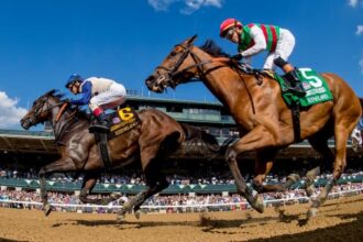 'It means the world': Prayer guides trainer Robbie Medina to first Breeders' Cup