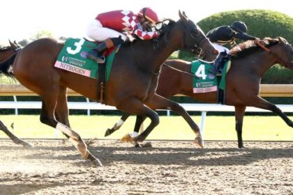 Jinjin's post is shaking at the Spinstar Stakes