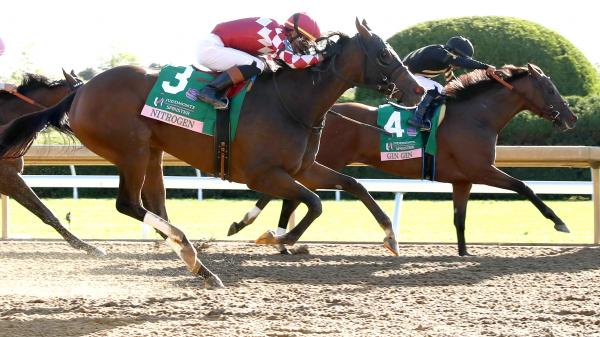 Jinjin's post is shaking at the Spinstar Stakes