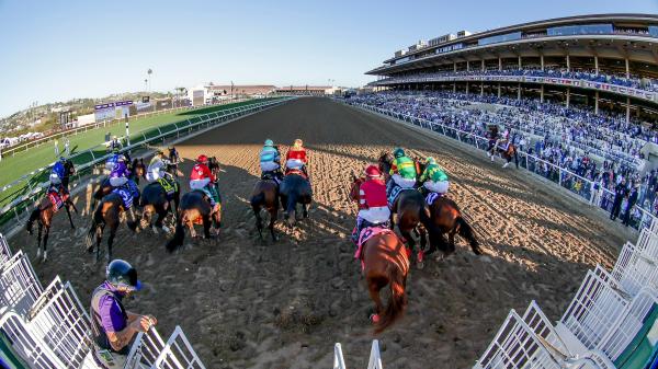 Key trends to consider when betting on the unpredictable Breeders' Cup Juvenile