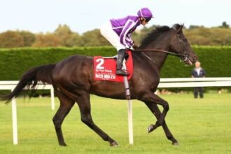 Leading Australian stallion So You Think dies at age 19