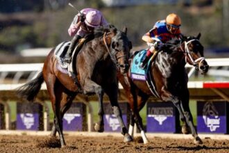 Leading cast of returning winners expected for the 2025 Breeders' Cup