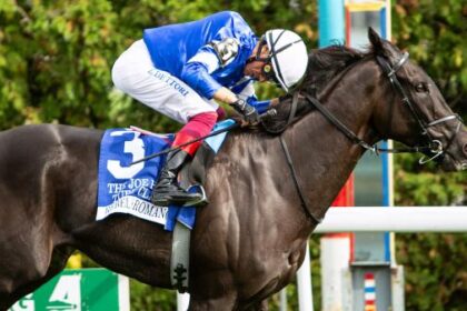 Locked Equibase leaderboard, eye-catching speed figure of rebel romance