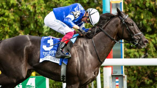 Locked Equibase leaderboard, eye-catching speed figure of rebel romance