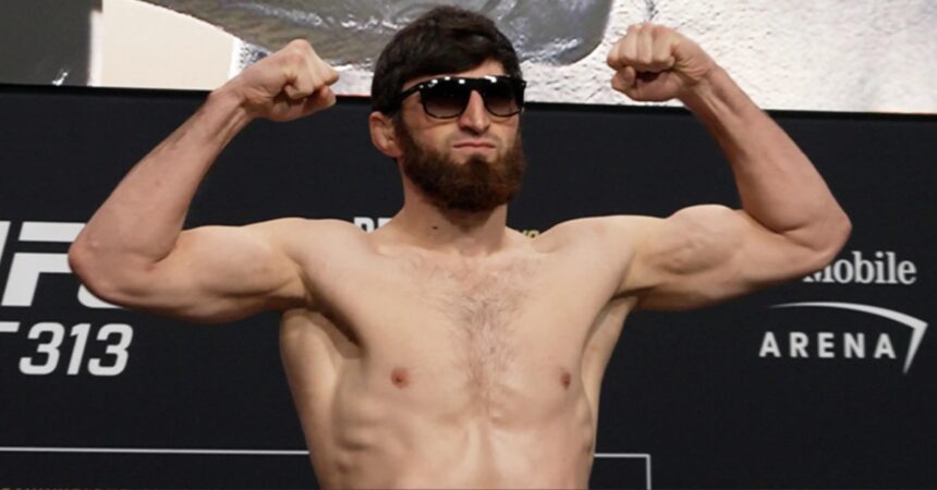 Magomed Ankalaev Lashes Out At Alex Pereira: "Why Would I Be Hiding From Him?"