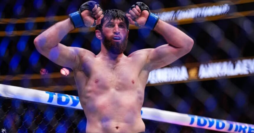 Magomed Ankalaev targets summer return, rules out Alex Pereira rematch: 'He's never coming back'