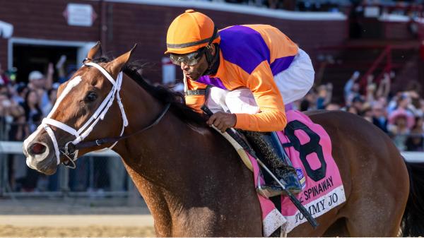 Make money by betting Tommy Joe in the 2025 Alcibiades stakes