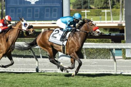 Masteroffoxhounds Major Prize Winners Top Tab