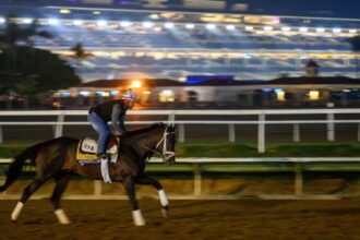 Mindframe can pull off an upset in the Breeders' Cup Classic