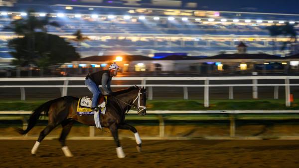 Mindframe can pull off an upset in the Breeders' Cup Classic