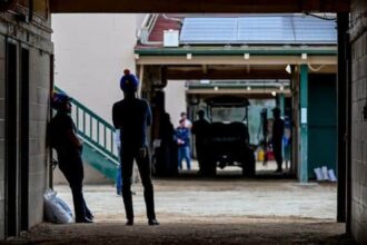 More notes and citations than Classic