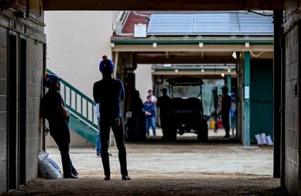 More notes and citations than Classic