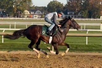 Mottworker leads Sobryanto, 26 horses won major prizes