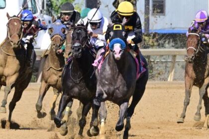 Napoleon Solo, Ground Support, Iron Orchard prepares for the 2-Year Breeders Cup in New York