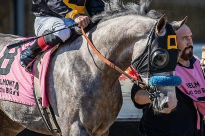 Napoleon Solo withdraws from Breeders' Cup, plans to return next year