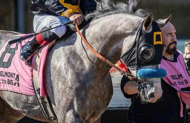 Napoleon Solo withdraws from Breeders' Cup, plans to return next year