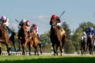 Noel's Weekend Winner: Turf Stakes Selection at Aqueduct, Keeneland