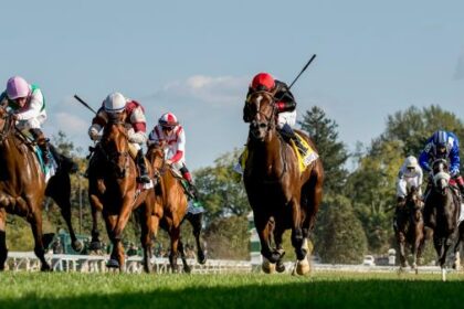 Noel's Weekend Winner: Turf Stakes Selection at Aqueduct, Keeneland