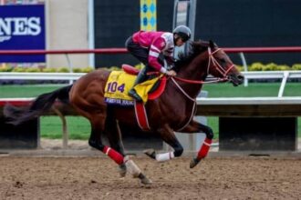 Notes and quotes from all 10 candidates