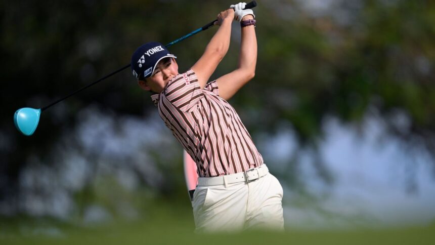 Nuhee leaks into Hoodle and 8 players shoot back