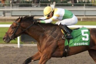 Ontario Derby's brightest Borealis Trail