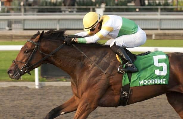 Ontario Derby's brightest Borealis Trail