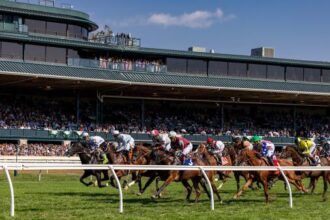 Opportunity knock on 15-1 long shot in the Cool More Turf Mile Stakes