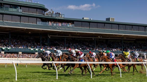 Opportunity knock on 15-1 long shot in the Cool More Turf Mile Stakes