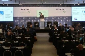 Regulators discuss bettor experience, illegal bets