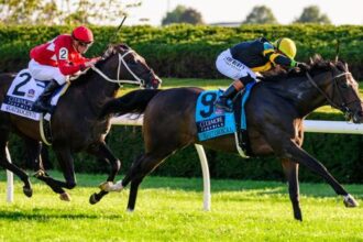 Rhetoric Ted Noffey shines in Keeneland on Fall Star on Saturday