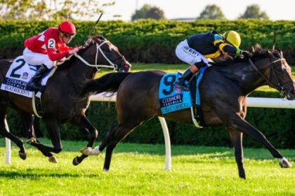 Rhetoric Ted Noffey shines in Keeneland on Fall Star on Saturday