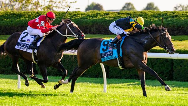 Rhetoric Ted Noffey shines in Keeneland on Fall Star on Saturday