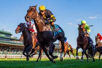 Rhetorical rally to win turf mile in Keeneland