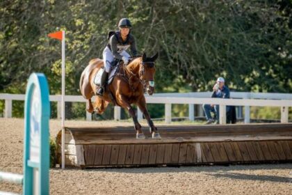 Sekt becomes street ready among many standouts in 2025 Thoroughbred makeover