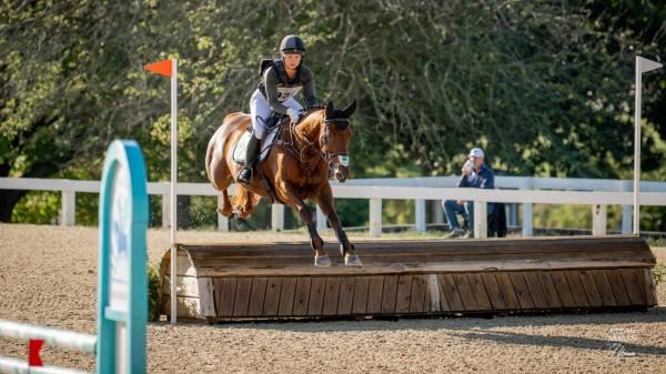 Sekt becomes street ready among many standouts in 2025 Thoroughbred makeover