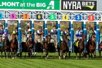 Supporting rapid rise in grass prospects in the 2025 Pilgrim Stakes