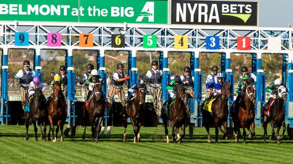 Supporting rapid rise in grass prospects in the 2025 Pilgrim Stakes